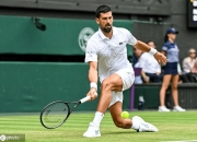 开云体育平台APP-关于年终总决赛碾压温网，德约科维奇刷新纪录的信息