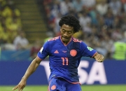 开云体育APP下载-波兰队轻取法国队，波尔刷新纪录