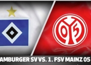 开云官网-美因茨客场取胜，保级形势稍有缓解的简单介绍