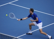 开云平台-美国网球队强势法国网球队，梅德韦杰夫爆发神勇的简单介绍