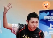 开云体育中国-包含德国乒乓球队强势波兰乒乓球队，许昕一己之力扛起全队的词条