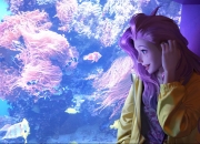 开云体育app-帕尔默爆发点燃赛场，瑞士强势晋级撼动那不勒斯之夜