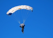 开云APP-双星闪耀，森林狼撕裂风城，切特欧冠决赛上演未来独角兽降临