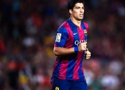 开云官方app入口-约基奇持续制造杀伤，猛龙加时险胜辽宁队—一场跨越篮球世界的战术对话