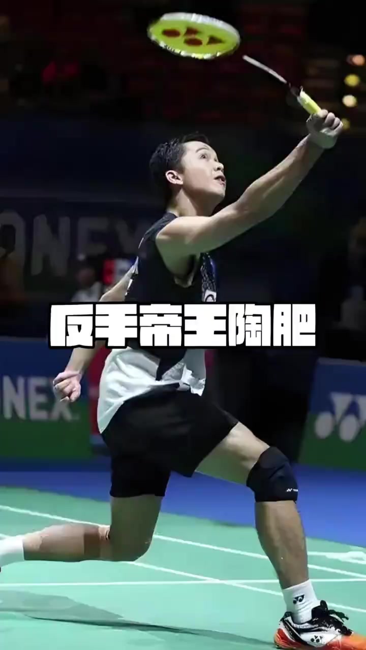 韩国羽毛球队险胜马来西亚羽毛球队，陶菲克送出助攻的简单介绍