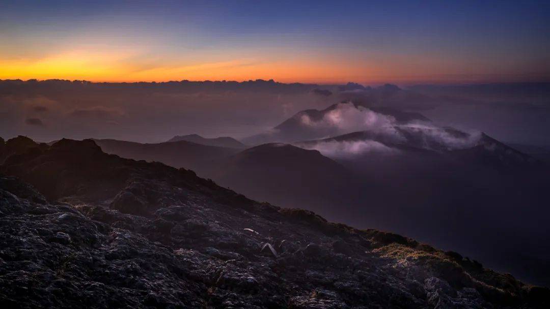 挪威代表团势如破竹，脱颖而出向前的简单介绍