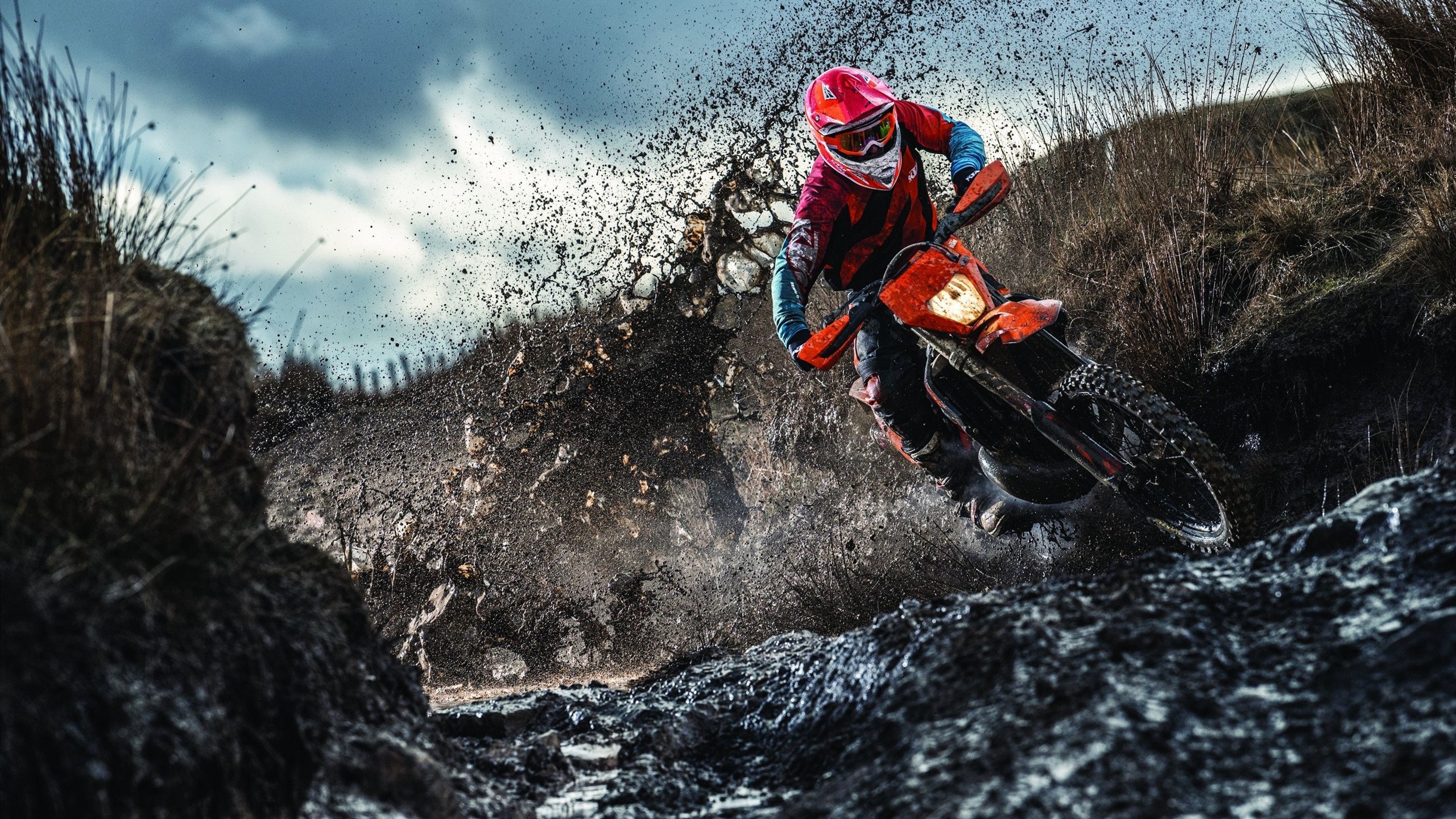 跨越赛场的英雄叙事，从辽宁队的坚韧到范弗利特的乔丹时刻